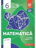 Matematica. Algebra. Geometrie. Clasa a VI-a. Partea a II-a/Ion Tudor