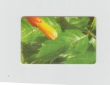 bnk card Cartele telefonice - Romania Romtelecom 2005 - Flowers - Puzzle 1/4 - Col:RO-ROM-0283B