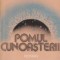 Pomul cunoasterii