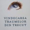 VINDECAREA TRAUMELOR DIN TRECUT-FRANCINE SHAPIRO-237109