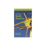 Insects of North America