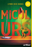 Micul Urs - Lynne Reid Banks, Arthur