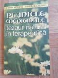 Plantele medicinale tezaur natural in terapeutica