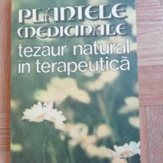 Plantele medicinale tezaur natural in terapeutica