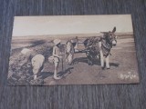Imagine Sepia cu Țărani la Muncă, Carte Poștală Franceză ,Piesă de Colecție