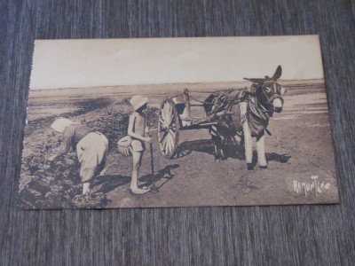 Imagine Sepia cu Țărani la Muncă, Carte Poștală Franceză ,Piesă de Colecție foto