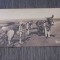 Imagine Sepia cu Țărani la Muncă, Carte Poștală Franceză ,Piesă de Colecție