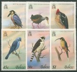 Belize 1979 - Păsări, serie neuzata