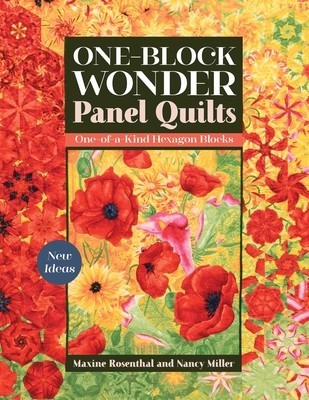 One-Block Wonder Panel Quilts: New Ideas; One-Of-A-Kind Hexagon Blocks foto