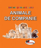 Sunt mic si vreau sa aflu - Animale de companie, Aramis