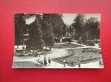 CARTE POSTALA - RSR - BORSEC - VEDERE DIN PARC