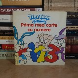 TINY TOON AVENTURI : PRIMA MEA CARTE CU NUMERE , EGMONT ROMANIA , 1994 *