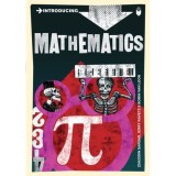 Introducing Mathematics: A Graphic Guide