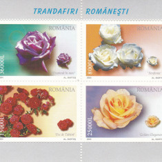 ROMANIA 2004 LP 1661 a TRANDAFIRI ROMANESTI BLOC DE 4 TIMBRE MNH