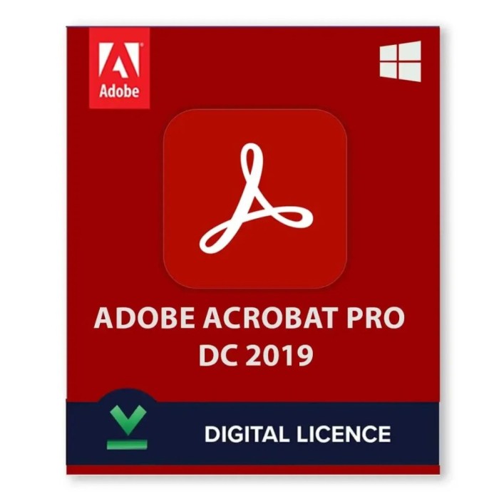 Licenta Adobe Acrobat 2019 DC - Licenta Electronica Permanenta