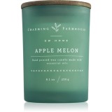 DW Home Charming Farmhouse Apple Melon lum&acirc;nare parfumată 230 g