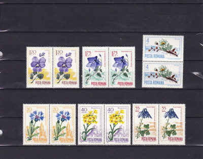 ROMANIA 1967 LP 649 FLORA CARPATINA PERECHE MNH foto