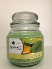 Lumanare Parfumata Citrus &amp;amp; Sage, Mia Bella&amp;#039;s, 454 g foto