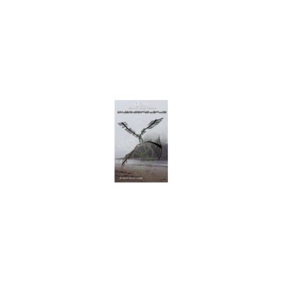 Ogam: Weaving Word Wisdom foto