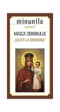 Minunile icoanei Maica Domnului &bdquo;Caută la smerenie&rdquo; - Paperback brosat - *** - Sophia