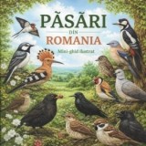 Pasari din Romania. Mini-ghid ilustrat - Ionescu Andreea-Alexandra
