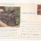 CA14 -Carte Postala- Veteranii Sinelor, Locomotiva CFF 764.455, necirculata