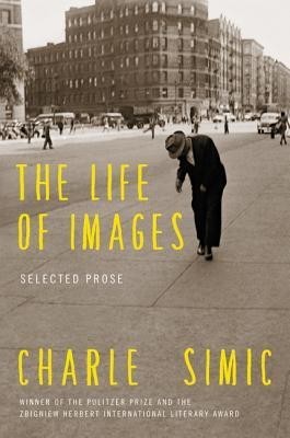 The Life of Images: Selected Prose foto