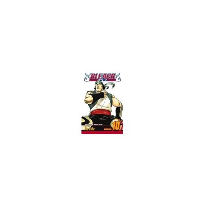 Bleach, Volume 10 foto