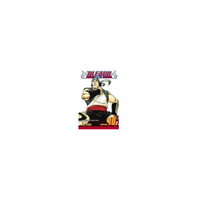 Bleach, Volume 10