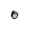 Intinzator curea VW PASSAT Variant 3C5 DAYCO APV2474