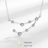 Colier din argint cu Constelatia CAPRICORN silver cod ARG02J, Argintboutique