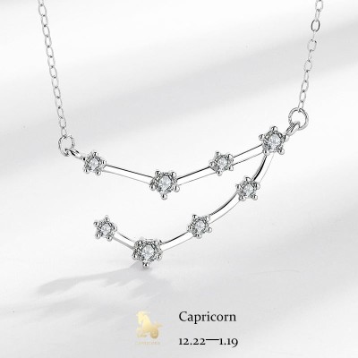 Colier din argint cu Constelatia CAPRICORN silver cod ARG02J foto