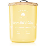 DW Home Farmhouse Lemon Zest &amp; Citrus lum&acirc;nare parfumată 434 g
