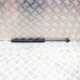 Amortizor Haion Stanga Audi Q5 8R (2008-2017) 8R0827552A Auger/Trucktec/Tridon Garantie 12 Luni