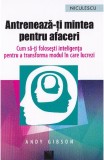 Antreneaza-ti mintea pentru afaceri, Niculescu