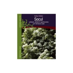 Socul: cultivare, utilizari in gastronomie si in farmacia casei - Kohut Ildik?