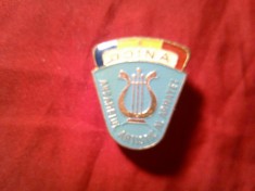 Insigna Ansamblul Doina al Armatei ,metal si email,h=3,1cm