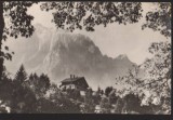 CPIB 22564 - CARTE POSTAL - BUSTENI, VEDERE SPRE COSTILA, RPR