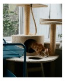 Tablou Canvas, "Motanul explorator &icirc;n turnul de joacă", Pisică, Jucăușă, Cățărătoare, Mobilier, Lumină, Fereastră, Blană, Coardă, Joacă, Interior, 26