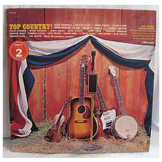 Vinil 2XLP Various ‎– Top Country (VG)