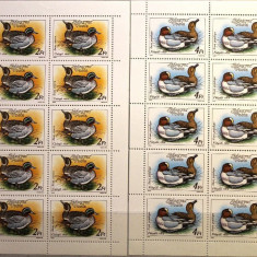 UNGARIA 1988 Carnet cu 2 blocuri de timbre tema RATE(2x5=10)-Mi 3972+3974,MNH