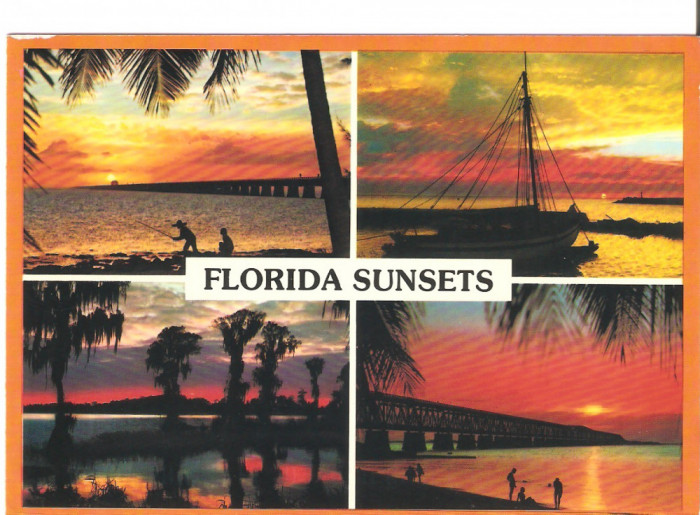 SUA FLORIDA SUNSET