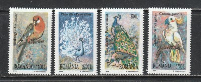 Romania 1999 - #1482 Pasari Decorative 4v MNH foto