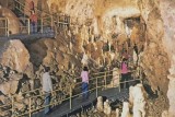 Pestera Ursilor (Chiscau) Bihor (Carte postala necirculata)