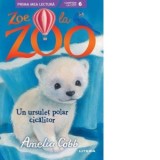 Zoe la Zoo. Un ursulet polar cicalitor (Nivelul 6)