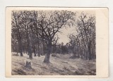 bnk cp Ion Andreescu - Padurea - circulata 1956