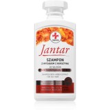 Farmona Jantar Medica șampon pentru păr gras 330 ml