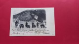 Prahova Sinaia Etnic Tigan Zigeuner cig&aacute;ny gypsi Ursari in Sinaia 1903, Circulata, Printata