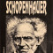 Schopenhauer-T.Ruyssen-Filosofie