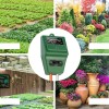 Tester Sol 3 in 1 ProCart: pH, Umiditate, Lumina, 2 Sonde, 29.3cm, Gradina, Gazon, Ghivece